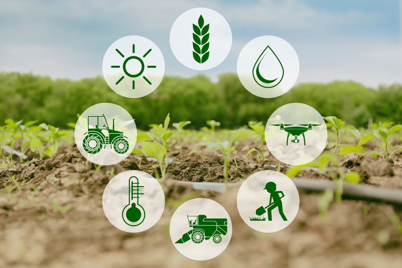 img-magazin-2019-smart-farming-teil-1-4-0web-1400 img-magazin-2019-smart-farming-teil-1-4-0web-1400